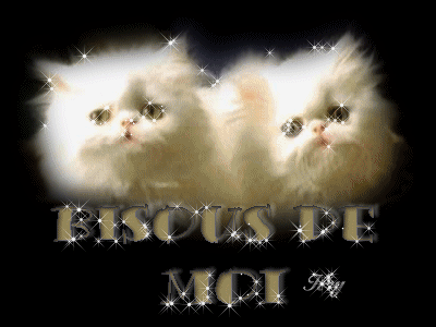 un chat